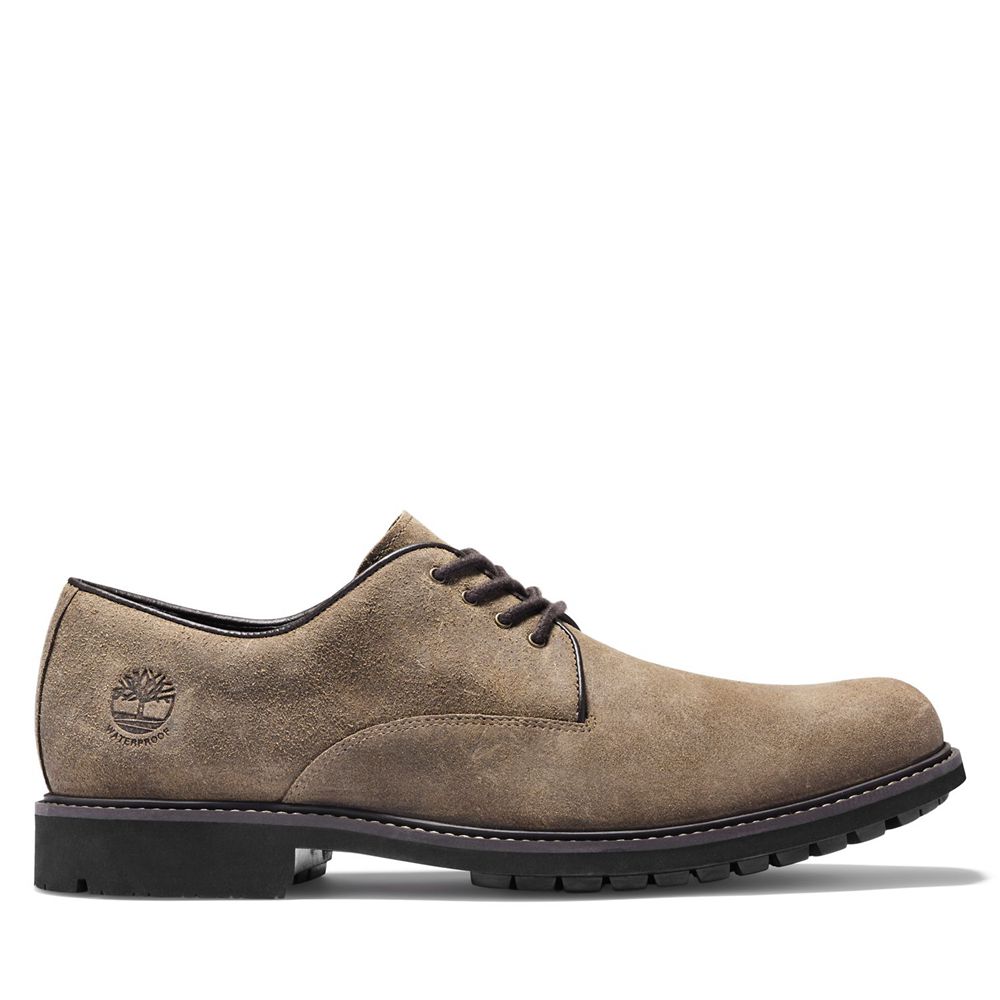 Timberland Mens Oxford Shoes Stormbuck Waterproof - Brown - India YC8567290